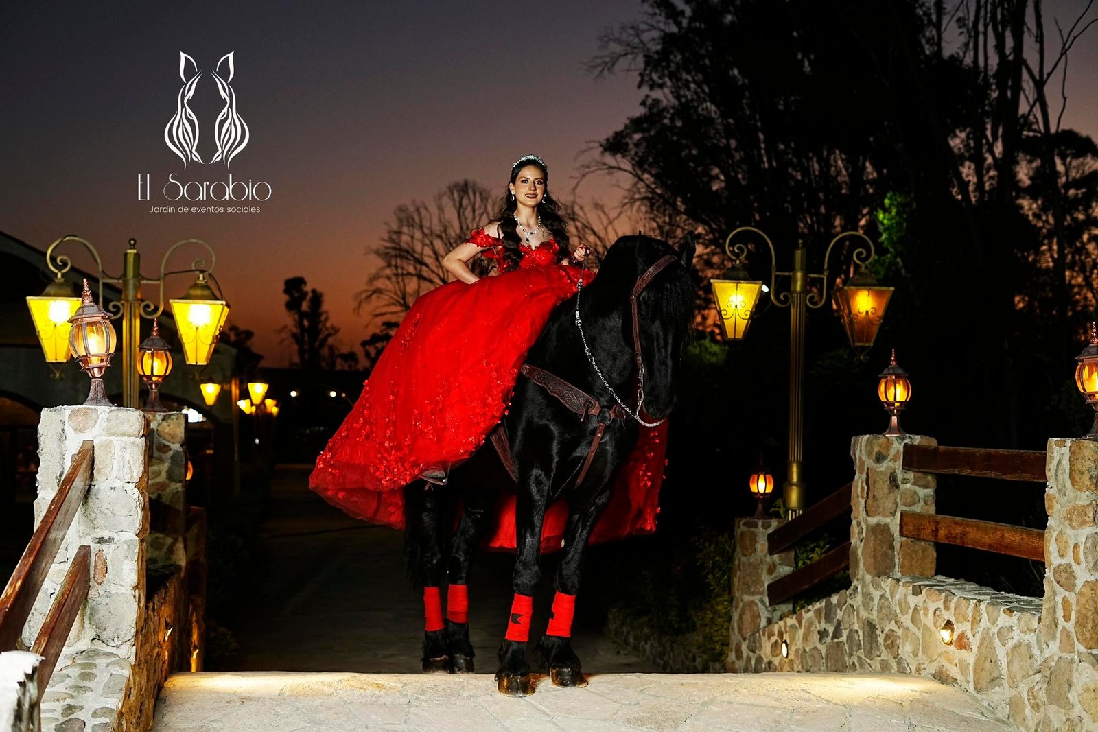 Sesión con caballos en Rancho El Sarabio
